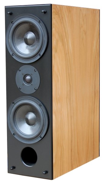 NSMT PSM super monitor speaker