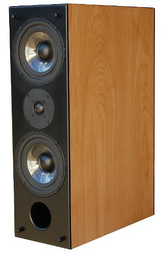 PSM Super Monitor