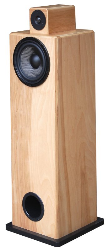 NSMT Loudspeakers Model 100